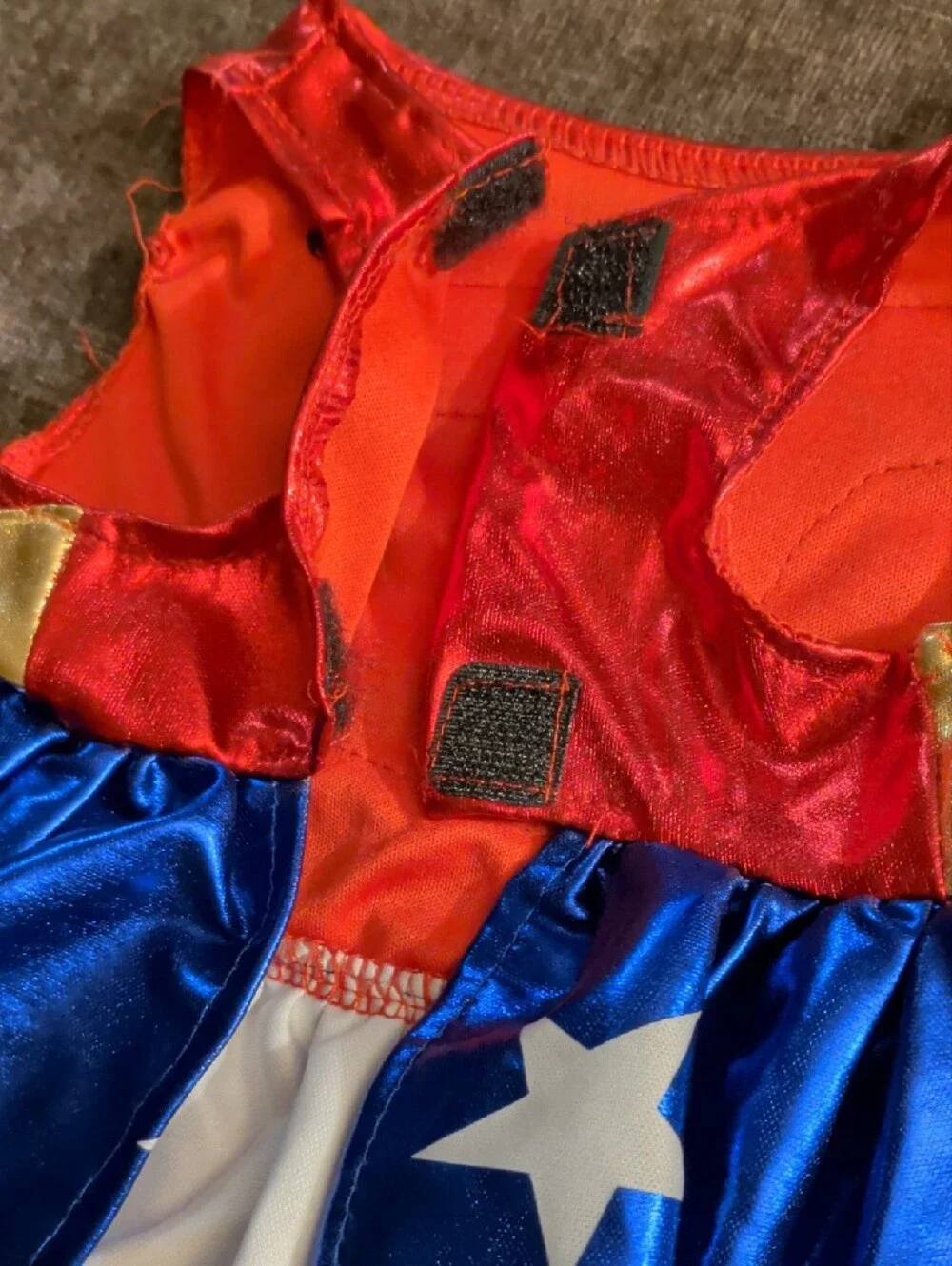 Rubie's Red, Blue & Gold Wonder-Inspired Dog Costume with Tiara